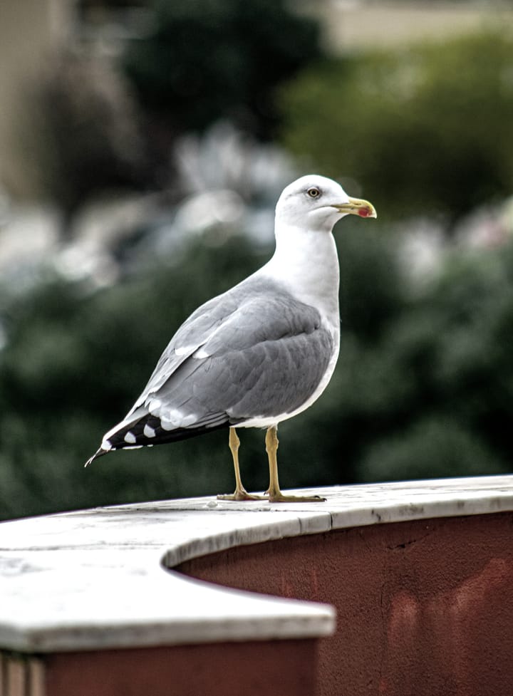 week 10 / 2026: futures and histories